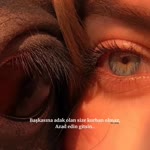 Deniz