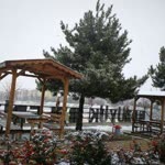 Burçin