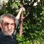 Ebubekir