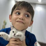 Melek