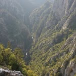 Suna