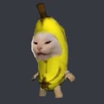 Pleja