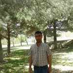 Ferit