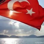 Yücel