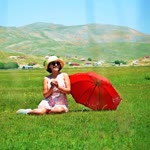 Selvi