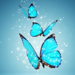 Onur