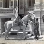 Süleyman