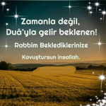 Sibel