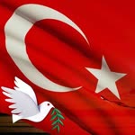 Harun