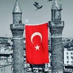 Mustafa