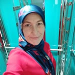 Sibel