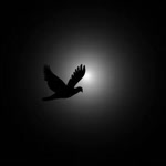 Onur