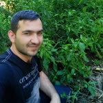 Hamdi