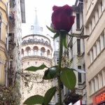 Seher