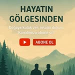 Hayatıngölgesinden