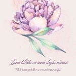 Sude