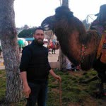 Mert