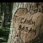 Profil fotoğrafı