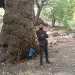 Profil fotoğrafı