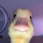 Furkan