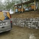 Avni