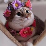 Zeynep