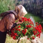 Duygu