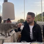 Ozan