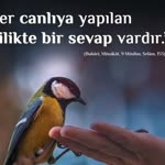 Hakan