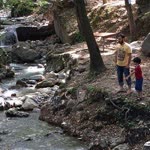 Kasım