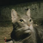 Gizem
