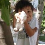 Emel