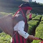 Nalan