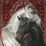 Hasan