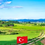 Adsız