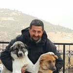 Ayhan