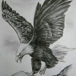 İlhan