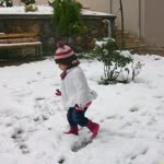 Tayfun