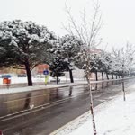 Fırat