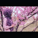 Nuran