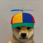 Deniz