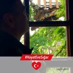 Hakan