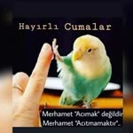 Serdar