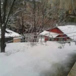 Emel