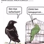 Fatih
