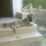 İrfan