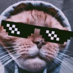Ali