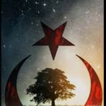 Gülser