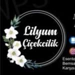 Vezirköprü