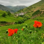Nadire